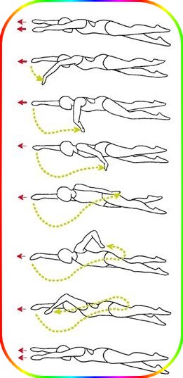 Stroke Positioning Chart