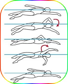 Stroke Positioning Chart