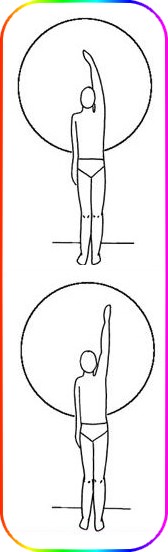 Arm Range Of Motion Chart