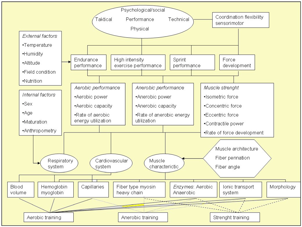 Basis of Sports Training 02