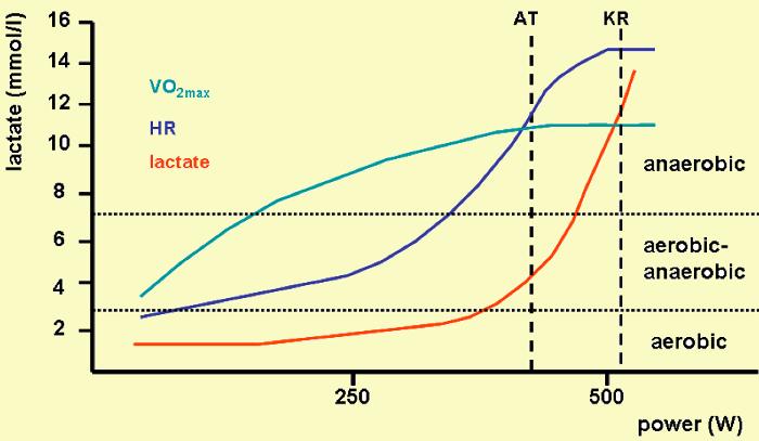 Load indicators dynamics during loading