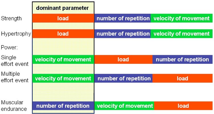 Relationship among specific parameters with regard to the effects of strength training