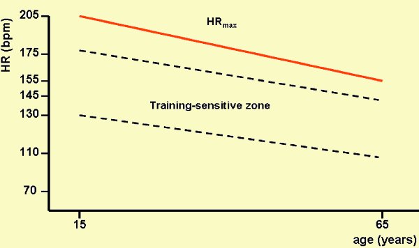 Relationship between maximal heart rate and age