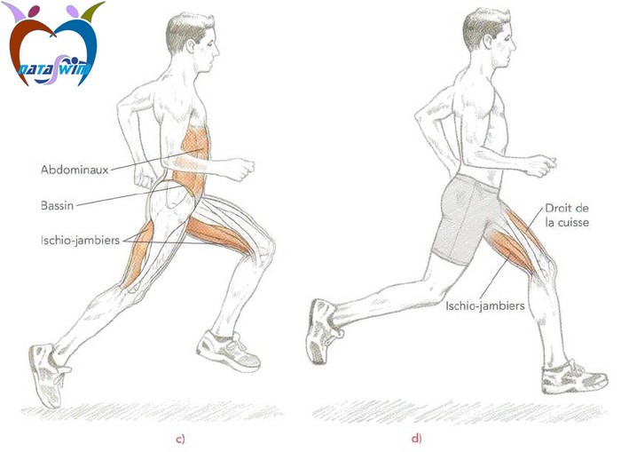 courir analyse foulee 2