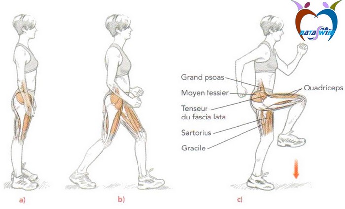 courir analyse foulee 3