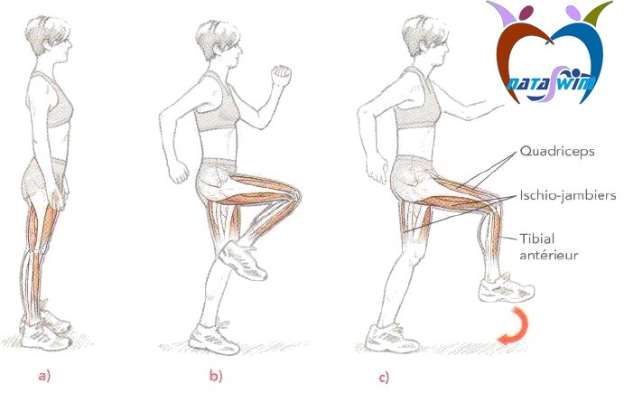 courir analyse foulee 4