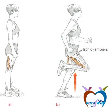 courir analyse foulee 5