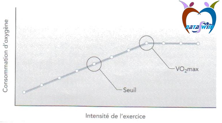 courir consomation o2 exercice