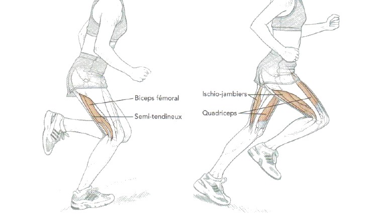 courir montee descente adaptation