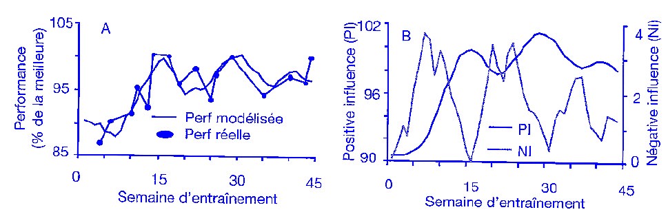 Comparaison entre les performances réelles et les performances modélisées au cours dune saison dentraînement chez des nageurs de haut niveau