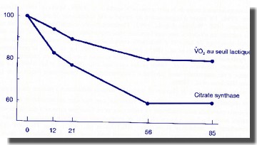 Effet du désentraînement pendant 84 jours chez des athlètes dendurance