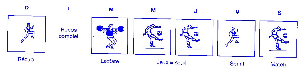 Exemple de microcycle dune semaine chez des joueurs professionnels de football