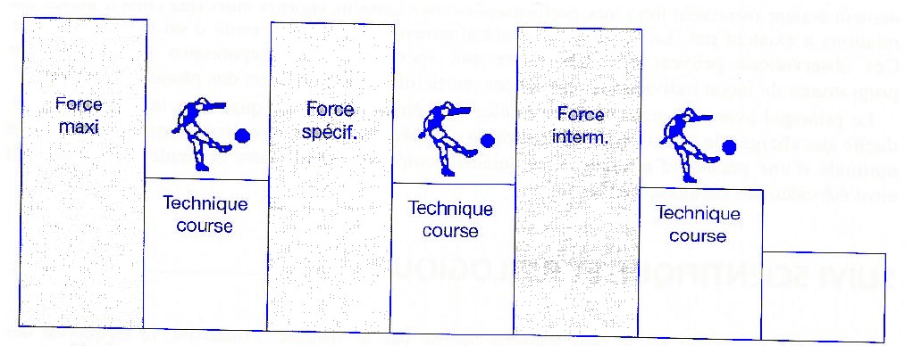 Exemple de semaine dentraînement comportant trois sessions de musculation