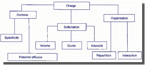 Principaux critères et caractéristiques de la charge dentraînement. Daprès Werchoschanski 1992