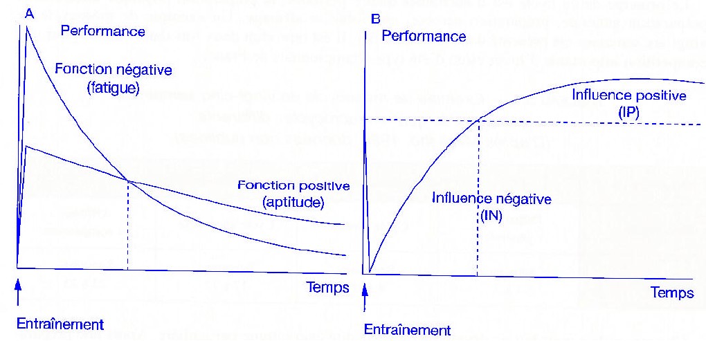 Représentation schématique des fonctions positive et négative après une séance