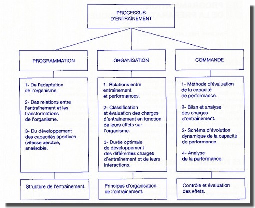 Schéma d élaboration dune théorie générale de lentraînement. Werchoschanski 1992