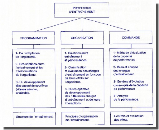 Schéma d élaboration dune théorie générale de lentraînement. Werchoschanski 1992