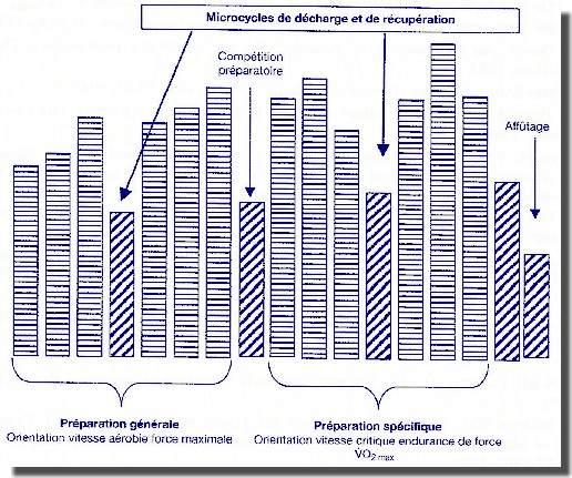 Schéma de programmation de deux cycles de huit semaines conduisant à la préparation de compétitions majeures