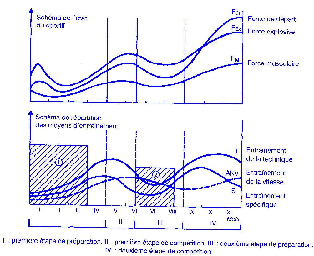 Schéma théorique de programmation pour les disciplines de force-vitesse