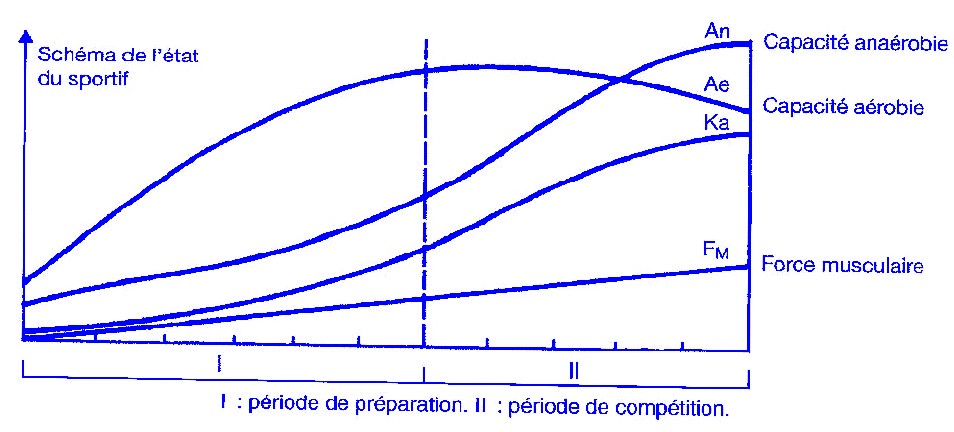 Schéma théorique de programmation pour les disciplines dendurance