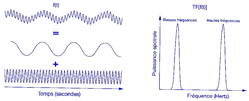 la fréquence cardiaque varie avec des oscillations de basse