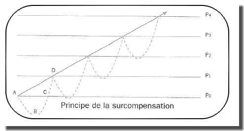 principe de surcomponsation