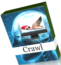 crawl