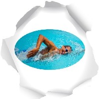 entrainement natation crawl