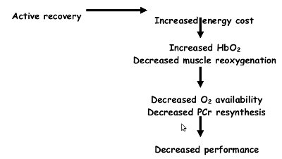 Performance in swimming sprints 2