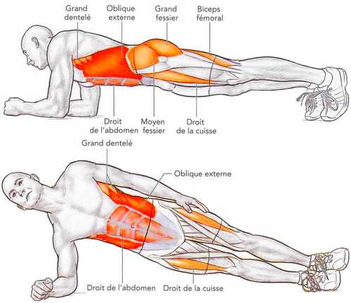 natation Gainage frontal et latéral