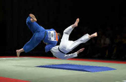 judo training