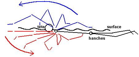 SchemaCr3