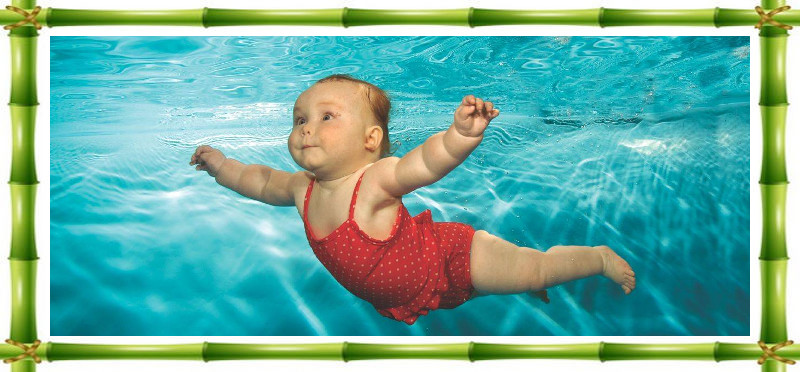 cours bebes nageurs piscine 04